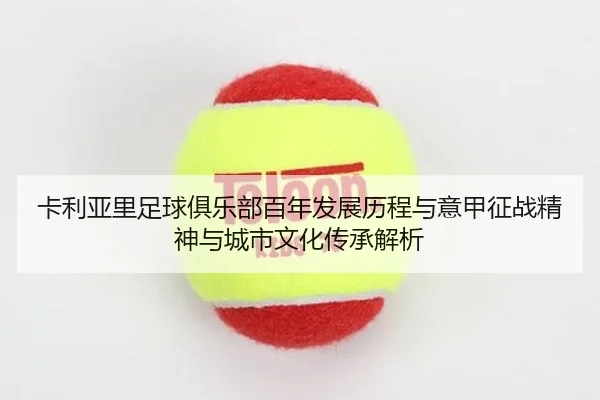 ka-li-ya-li-zu-qiu-ju-le-bu-bai-nian-fa-zhan-li-cheng-yu-yi-jia-zheng-zhan-jing-shen-yu-cheng-shi-wen-hua-chuan-cheng-2-412.jpg