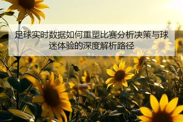 足球实时数据如何重塑比赛分析决策与球迷体验的深度解析路径